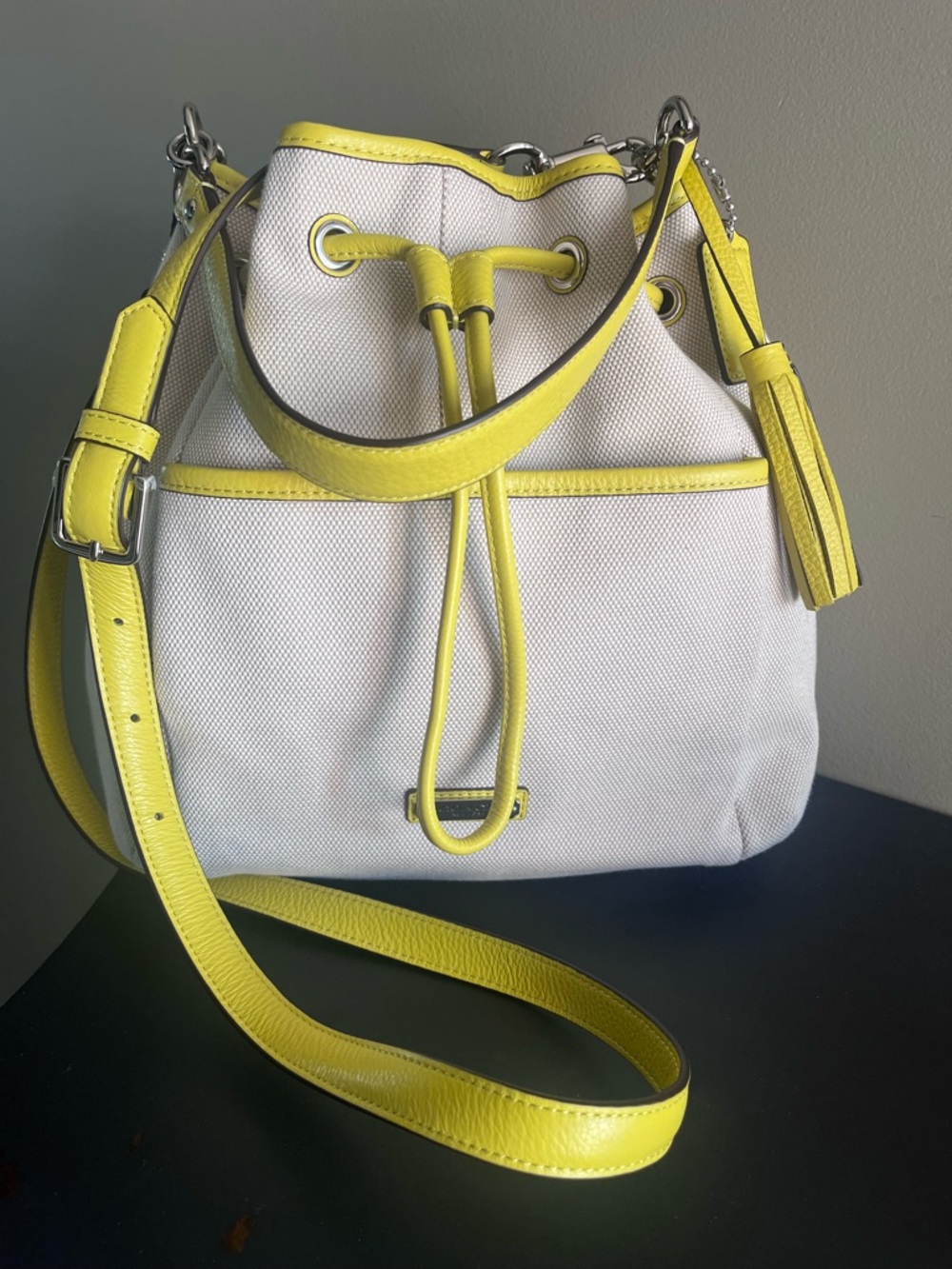 Coach Avery Bucket Bag F218913